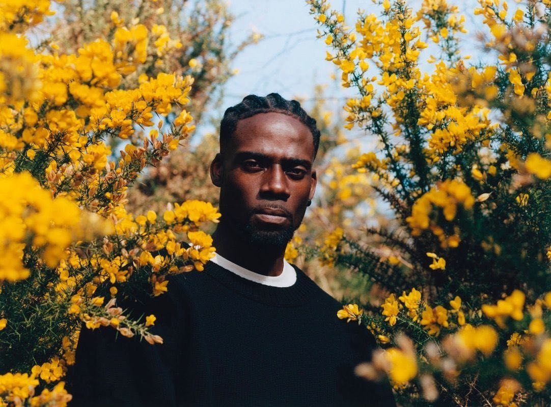 Pitchfork Music Festival